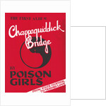 Poison Girls Poster by Rokpool